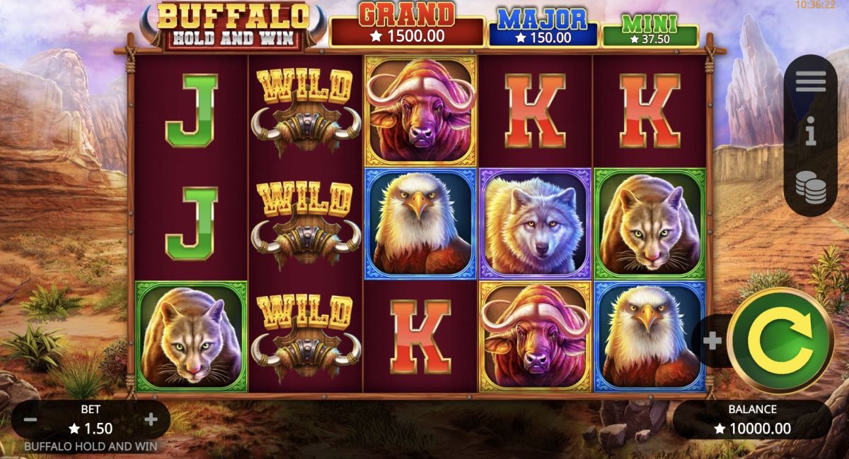 Slot Buffalo Hold and Win