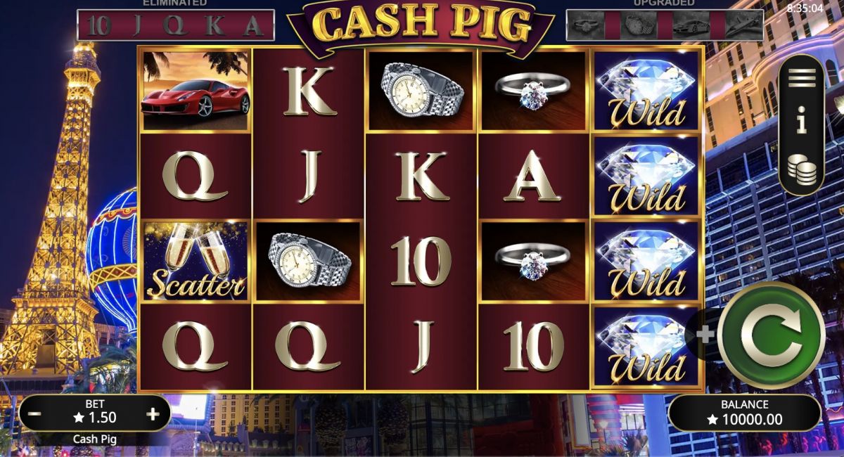 Slot Cash Pig