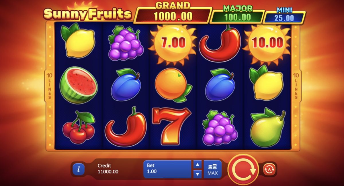 Slot Sunny Fruits: Hold Win